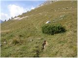 Uskovnica (Lom) - Planina pod Mišelj vrhom