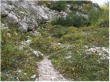 Uskovnica (Lom) - Planina pod Mišelj vrhom