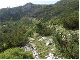 Uskovnica (Razpotje) - Planina pod Mišelj vrhom