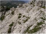 Uskovnica (Lom) - Planina pod Mišelj vrhom