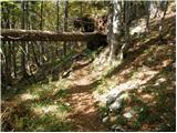 Uskovnica (Razpotje) - Planina pod Mišelj vrhom