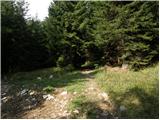 Uskovnica (Lom) - Planina pod Mišelj vrhom