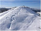 Planina Blato - Srednji Vogel