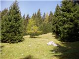 Dolinza Alm / Planina Dolnica - Sagranberg/Monte Sagran