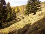 Dolinza Alm / Planina Dolnica - Sagranberg/Monte Sagran