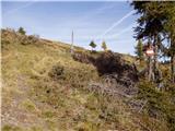 Planina Dolnica / Dolinza Alm - Konjščica/Sagranberg