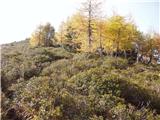 Dolinza Alm / Planina Dolnica - Sagranberg/Monte Sagran