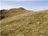 Dolinza Alm / Planina Dolnica - Sagranberg/Monte Sagran