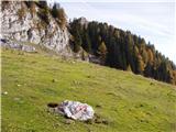 Planina Dolnica/Dolinza Alm - Starhand