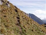 Dolinza Alm/Planina Dolnica - Starhand