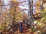 Mojstrana - Vrtaška planina