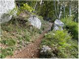 Breginj - Stol (Julian Alps)