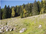 Mojstrana - Sleme