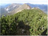 Breginj - Stol (Julian Alps)