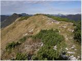 Breginj - Stol (Julijske Alpe)