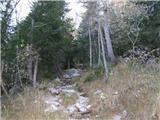 Rifugio Tolazzi - Rauchkofel