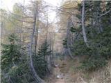 Rifugio Tolazzi - The lake Wolayer See