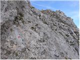 Rifugio Tolazzi - Monte Capolago / Seekopf