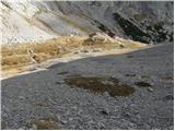 Rifugio Tolazzi - Monte Capolago / Seekopf