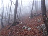 Aljažev dom v Vratih - Bovški Gamsovec