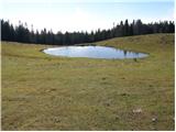 Zavetišče na Biba planini - Goli vrh (Šavnice)