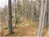 Eco farm Magu - Basališče (Paški Kozjak)