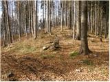 Eco farm Magu - Basališče (Paški Kozjak)