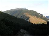 Dom Trilobit - Mali vrh