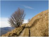 Kobarid - Stol (Julijske Alpe)