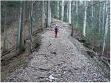 Matizovec - Planina Spodnja Dolga njiva