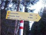 Plajberški graben / Bleiberger Graben - Sinski vrh / Sinacher Gupf 
