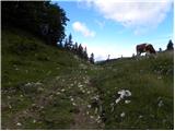 Bitenjska planina - Kosmati vrh (Ratitovec)