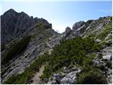 End of road on Pokljuka - Viševnik