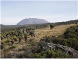 Marangu gate - Kilimanjaro