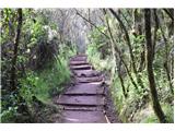 Marangu gate - Kilimanjaro