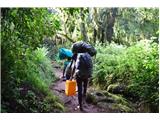 Marangu gate - Kilimanjaro