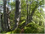 The Kot Valley - Požar