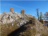 Sele-Zvrhnji Kot (Male) / Zell-Oberwinkel (Male) - Hajnžev Praprotnik / Zeller Prapotnik