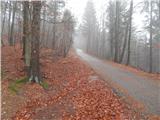 Gorenja vas - Javorč