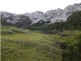 Kokra (Roblek) - Planina Dolga njiva (Krvavec)