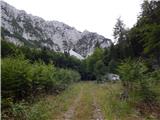 Sele-Zvrhnji Kot (Male) / Zell-Oberwinkel (Male) - Planina Korošica