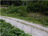 Sele-Zvrhnji Kot (Male) / Zell-Oberwinkel (Male) - Veliki vrh (Košuta)