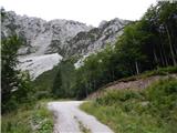 Sele-Zvrhnji Kot (Male) / Zell-Oberwinkel (Male) - Lokovnikov Grintovec / Grintoutz