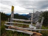 Sele-Zvrhnji Kot (Male) / Zell-Oberwinkel (Male) - Loibler Baba/Košutica