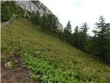 Sele-Zvrhnji Kot (Male) / Zell-Oberwinkel (Male) - Planina Korošica