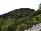 Sele-Zvrhnji Kot (Male) / Zell-Oberwinkel (Male) - Planina Korošica