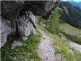 Sele-Zvrhnji Kot (Male) / Zell-Oberwinkel (Male) - Planina Korošica