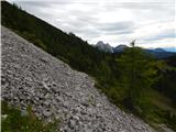 Sele-Zvrhnji Kot (Male) / Zell-Oberwinkel (Male) - Planina Korošica