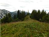 Sele-Zvrhnji Kot (Male) / Zell-Oberwinkel (Male) - Planina Korošica