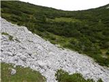 Sele-Zvrhnji Kot (Male) / Zell-Oberwinkel (Male) - Planina Korošica